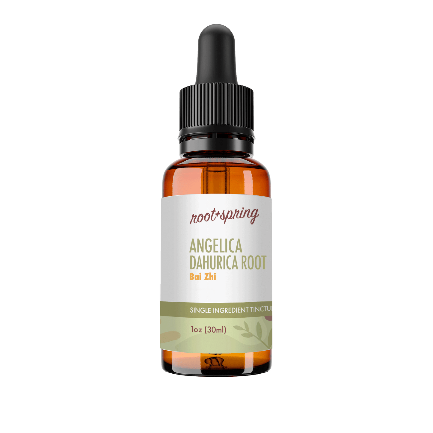 Bai Zhi (Angelica Dahurica Root) - Liquid Extract (Tincture)