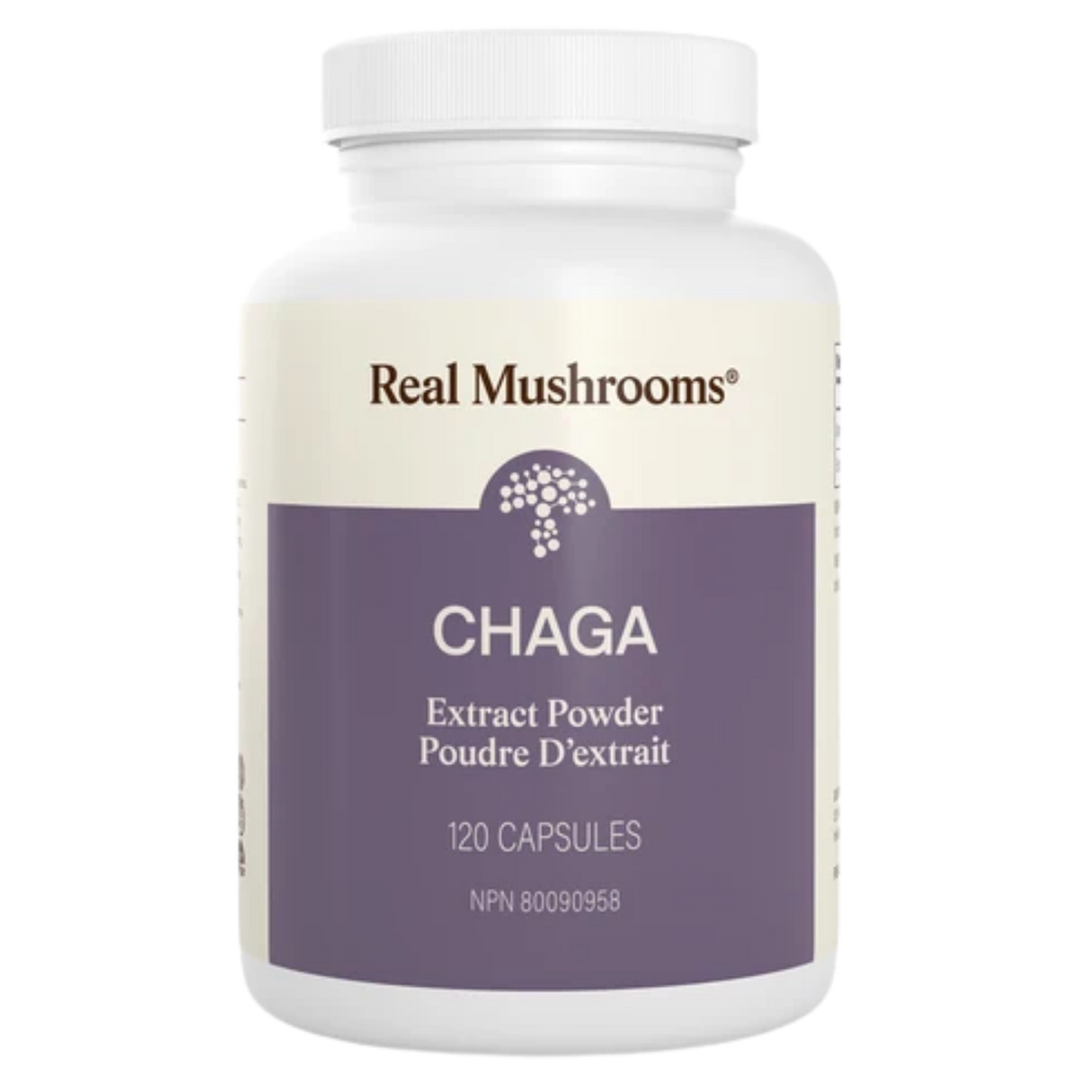 image of Chaga Mushroom Capsules by Real Mushrooms