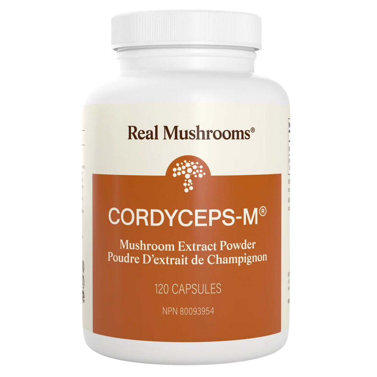 image of Cordyceps (Militaris) Mushroom Capsules by Real Mushrooms