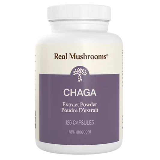 image of Chaga Mushroom Capsules by Real Mushrooms